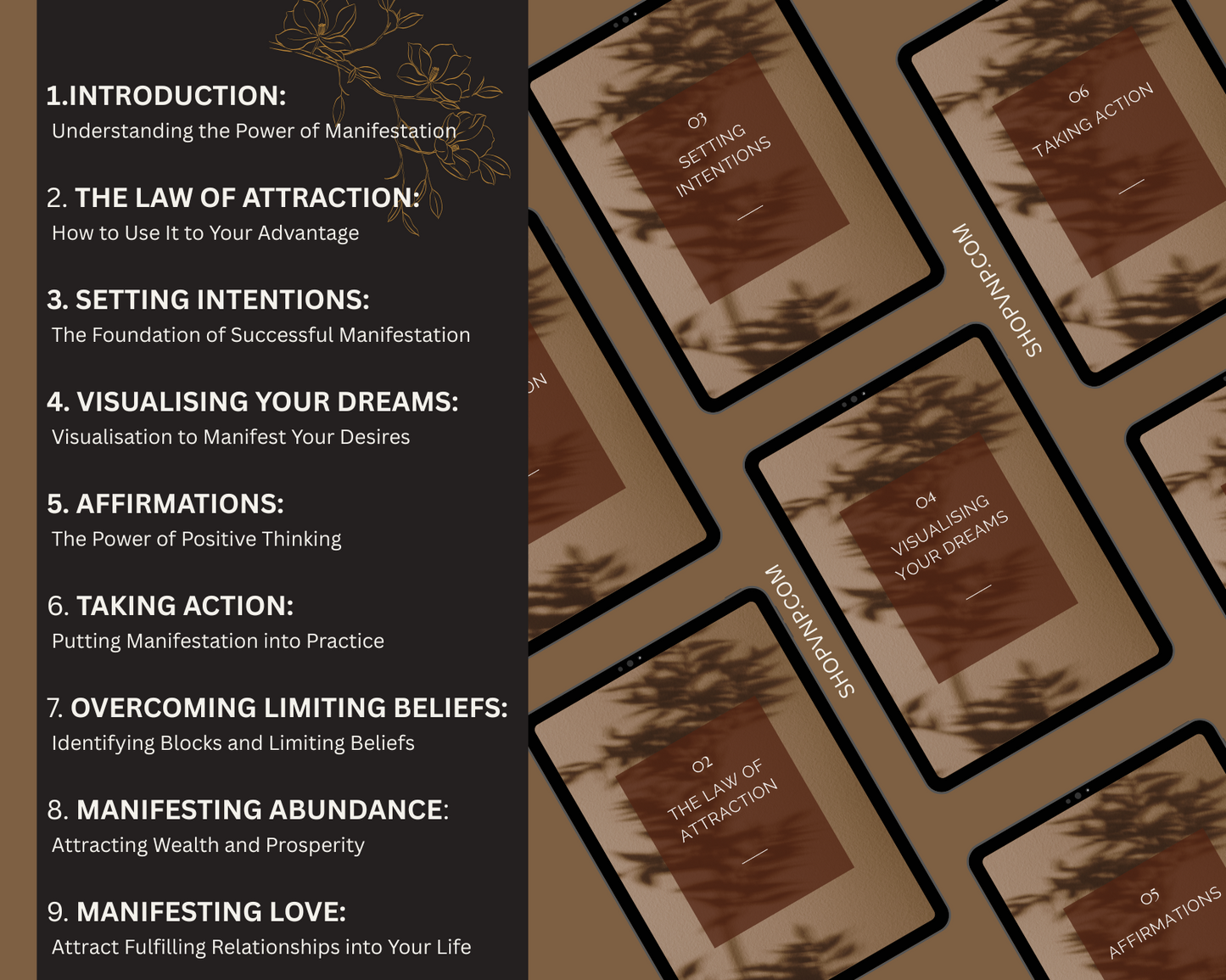 A PLR The Art of Manifestation